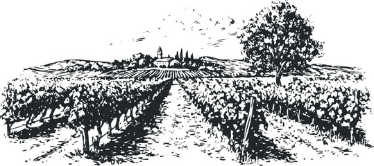 Vineyard landscape with church and tree sketch