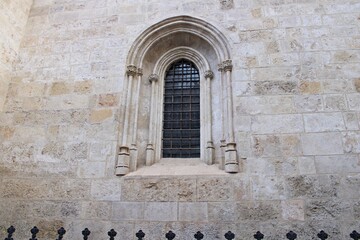 Fototapeta premium Gothic style window detail on the facade of Granada Cathedral. Spain