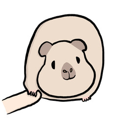 Cute cartoon guinea pig giving a paw by touching its owner’s finger with a happy smile. Adorable hand-drawn kawaii style illustration, perfect for pet stickers and children’s products.