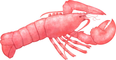 lobster watercolor art 
