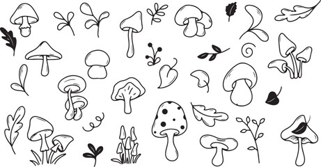 Mushroom and Nature Doodle Set – Forest, Fungi, Plants, Leaves, Cute, Cartoon, Outline, Sketch, Organic, Handcrafted, Minimal, Illustration, Nature, Decorative, Botanical, Drawing, Simple, Collection © dhruvik