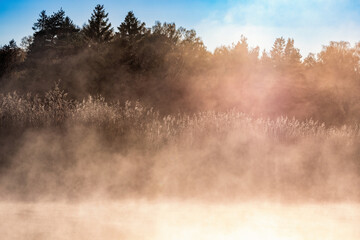 Dawn fog at a beach in backlight