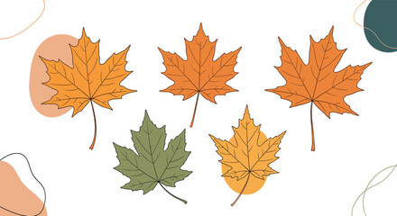 Fototapeta premium Autumn leaves collection beautiful fall season foliage design element