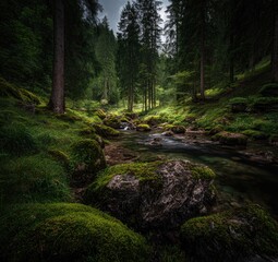 Forest stream, mossy rocks, lush greenery