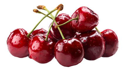 Fresh Ripe Cherries with Water Droplets on Stems, cut out transparent