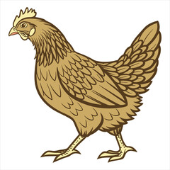 Hen Vector Illustration. Hen Clipart. Brown Hen Illustration – Farm Animal Vector. Brown Hen Illustration. Brown Chicken Clipart. 