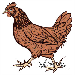 Hen Vector Illustration. Hen Clipart. Brown Hen Illustration – Farm Animal Vector. Brown Hen Illustration. Brown Chicken Clipart. 
