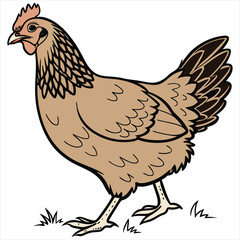 Hen Vector Illustration. Hen Clipart. Brown Hen Illustration – Farm Animal Vector. Brown Hen Illustration. Brown Chicken Clipart. 