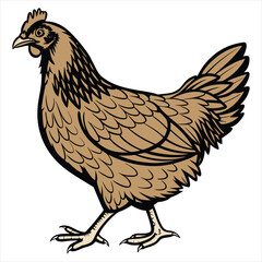 Hen Vector Illustration. Hen Clipart. Brown Hen Illustration – Farm Animal Vector. Brown Hen Illustration. Brown Chicken Clipart. 