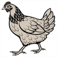 Hen Vector Illustration. Hen Clipart. Brown Hen Illustration – Farm Animal Vector. Brown Hen Illustration. Brown Chicken Clipart. 