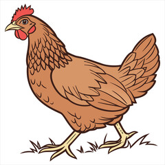 Hen Vector Illustration. Hen Clipart. Brown Hen Illustration – Farm Animal Vector. Brown Hen Illustration. Brown Chicken Clipart. 
