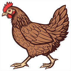 Hen Vector Illustration. Hen Clipart. Brown Hen Illustration – Farm Animal Vector. Brown Hen Illustration. Brown Chicken Clipart. 