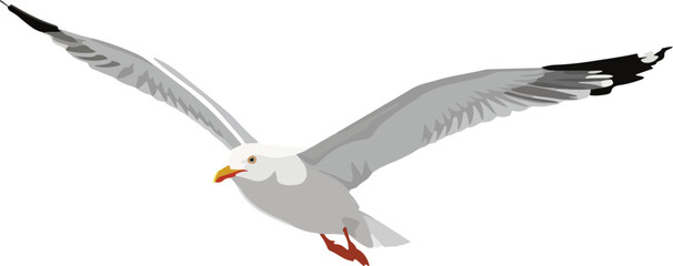 Fototapeta premium Web