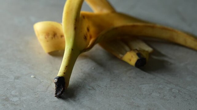 A banana peel lies on a ceramic kitchen tile.
Trash on the floor.
A discarded banana peel lies on the gray floor of the room.
Someone dropped a banana peel on the floor.