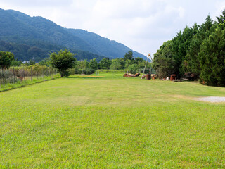 新緑の鮮やかな芝生広場