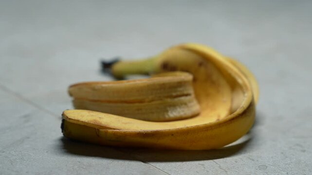 A banana peel lies on a ceramic kitchen tile.
Trash on the floor.
A discarded banana peel lies on the gray floor of the room.
Someone dropped a banana peel on the floor.