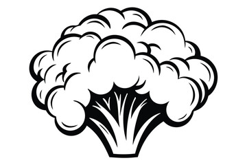 Broccoli Floret Outline, Isolated on a White Background, Detailed