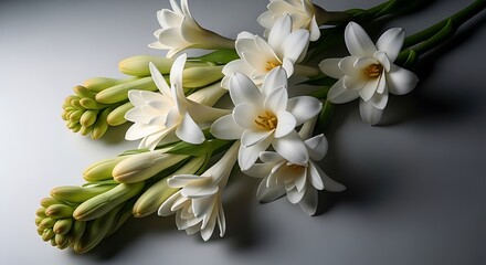 Fototapeta premium Arrangement of Blooming White Flowers with Green Buds on Surface