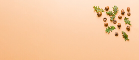 Branch with green oak tree leaves and acorns on colored background, close up top view