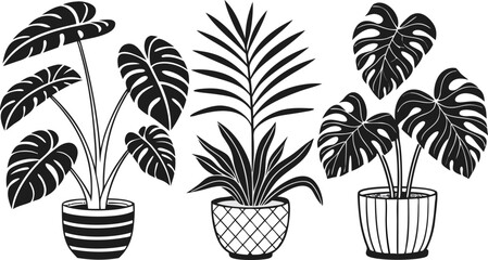 Set of indoor potted plant silhouette vector icons, perfect for gardening design, botanical home decor, foliage illustrations, eco-friendly artwork.
Exotic Palm Leaves, Monstera, and Botanical Foliage