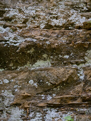 close-up of geological rock surface texture