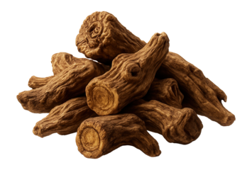 Whole gentian root pieces in a small heap