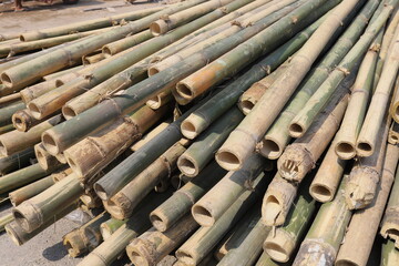 Stack of cut bamboo poles arranged in a pile outdoors. The bamboo stems are freshly harvested, showing natural green and yellow tones with texture and details on the surface.