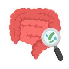 vector illustration of human digestive organ theme with magnifying glass and bacteria.