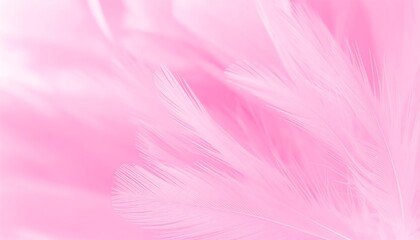 Obraz premium Soft Pink Feather Background Texture Close Up Abstract