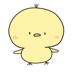かわいいヒヨコ