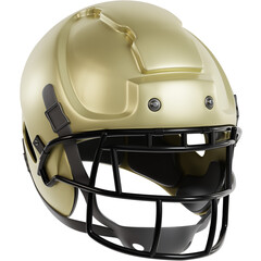3D illustration Schutt F7