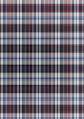 A classic blue and white gingham checkered pattern textile with a seamless plaid design