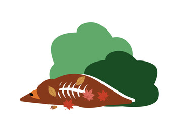 熊が作った土饅頭