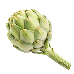 Fototapeta premium Single fresh prepared artichoke heart isolated on a transparent background png
