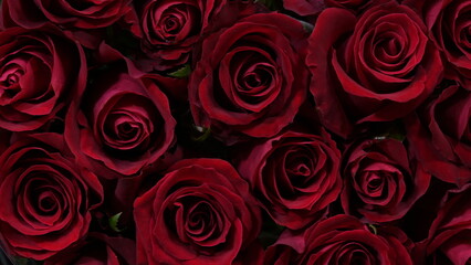 Top view, close-up of red roses in full bloom, creating a beautiful floral background. Perfect for romantic themes, Valentine’s Day, weddings, anniversaries, and nature concepts.