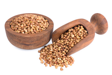 Light raw kuqiao isolated on white background. Buckwheat tea in roasted grains. Natural caffeine free herbal drink, gluten free superfood for wellness and cooking.	