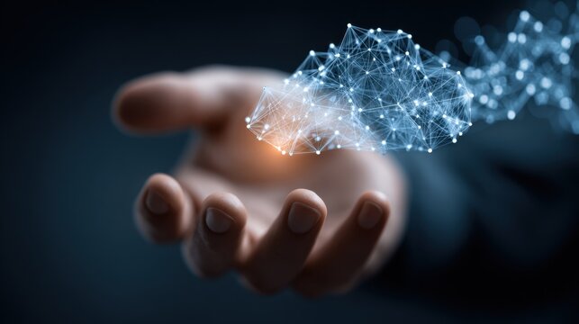 The output of cloud integration is seamless connectivity between local infrastructure and cloud, ensuring efficient workflows and business continuity.
