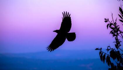 Fototapeta premium Silhouette of a Raven Soaring Against a Gradient Sky at Dusk