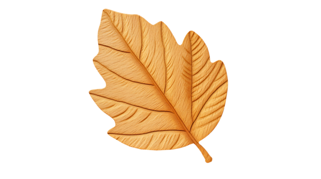 Carved wooden leaf with detailed veins isolated on transparent background