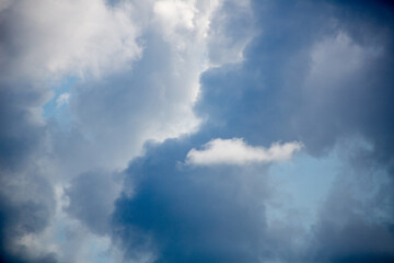 Fototapeta premium 奄美大島の夏の海。