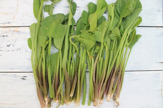 A bunch of genjer vegetables on the table