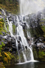 Beautiful waterfall near Faja Grande, Azores - Cascata do Poço do Bacalhau, Flores island