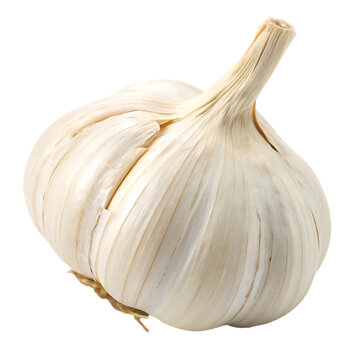 Aromatic white garlic bulb isolated on a transparent background png