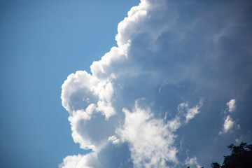 奄美大島の夏の海。