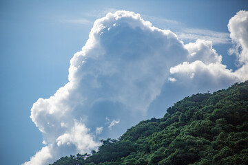 奄美大島の夏の海。