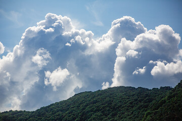 奄美大島の夏の海。