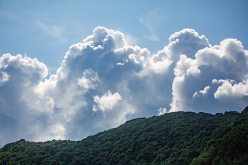 奄美大島の夏の海。