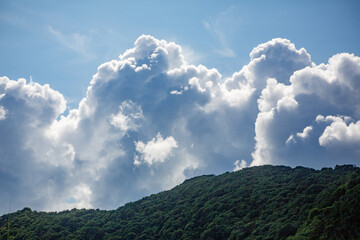 奄美大島の夏の海。