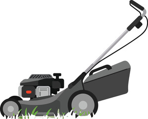 Fototapeta premium Web