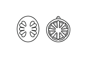 Sliced Citrus Fruit Vector, Round and Oval Segments on White Background Design